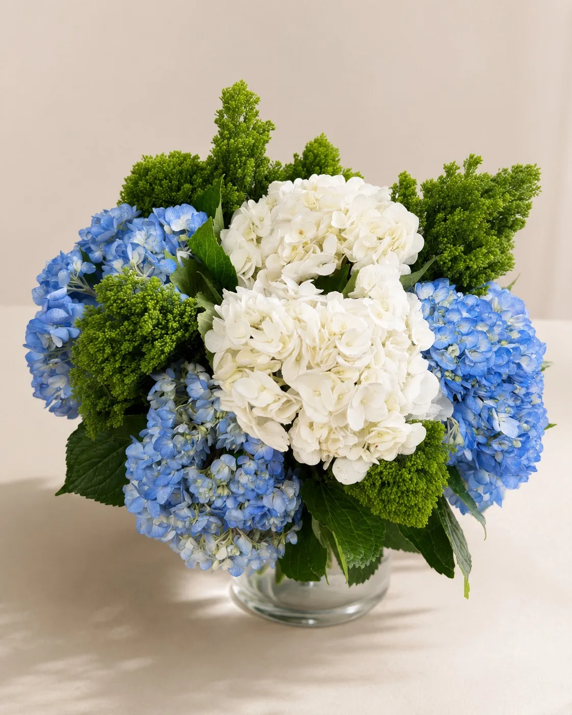 Blue and white hydrangeas